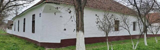 Iskasapila majku na spavanju, pa polugola krenula da kupi čokoladu: Krvavi pir u Čoki