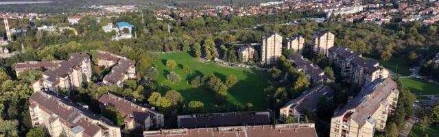 ULICA LIPA, PLATANA, KEDROVA... Beogradsko naselje gde se adrese traže po brezama i omorikama - ulice kao mapa prirode: Evo zanimljivosti u prestonici!