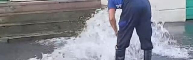 Pukao hidrant: Gejzir na Zvezdari (VIDEO)