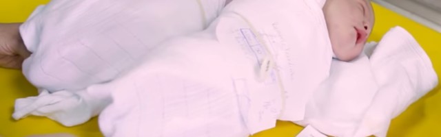 Srbija jedina zemlja u regionu koja ima porast broja rođenih u 2019. godini
