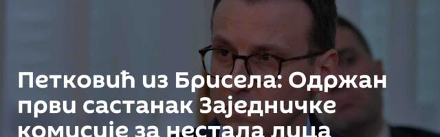 Петковић из Брисела: Одржан први састанак Заједничке комисије за нестала лица