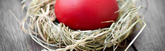 Verovanja čuvarkuće i zašto se fabra u crveno