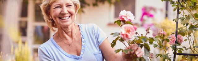 Najbolje vreme za zalivanje ruža: Većina pravi istu grešku koja uništava koren i cvet