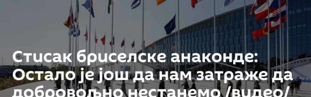 Стисак бриселске анаконде: Остало је још да нам затраже да добровољно нестанемо /видео/