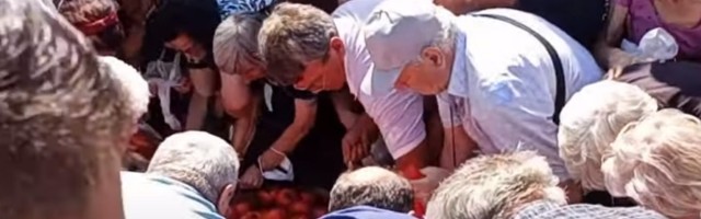 Pobesneli i paradajz