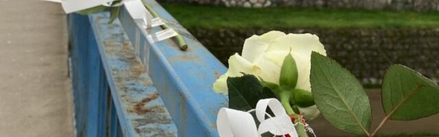 Studenti blokirali na 4 sata most u Leskovcu, građani im poručili: „Izvinite i hvala vam“
