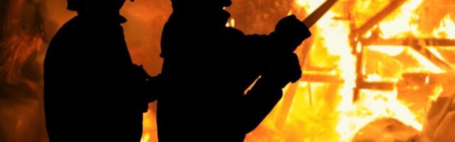 VATROM ZAHVAĆENO 100 HEKTARA ŠUME U ITALIJI: Više od 400 vatrogasaca na terenu
