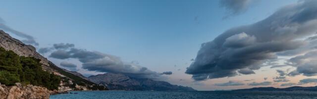 Da li ste videli ovu ribu u Jadranu? Ako je odgovor "da", odmah se javite stručnjacima!