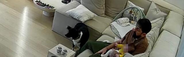 Amidžićeva žena objavila snimak sa sigurnosnih kamera: Uložili 100.000€ u renoviranje, evo šta je zabeležila