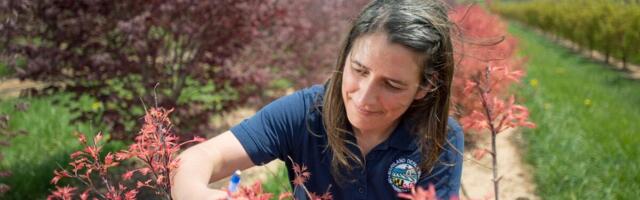 JOVANKA IZ NOVOG SADA JE 22 GODINE KOD ČIKA JOVE BILA PODSTANAR: "Jedne noći mi došao u GAĆAMA i REKAO DA MORA..."