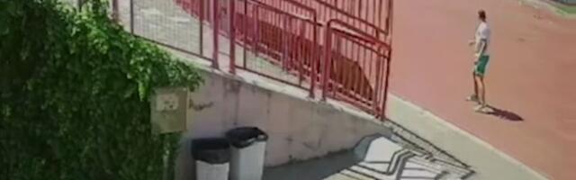 VIDEO "Pijavica" na Karađorđu: Vetar vitlao po stadionu