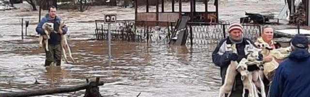 Štete od poplava u Dimitrovgradu nadoknadiće "Dunav osiguranje"