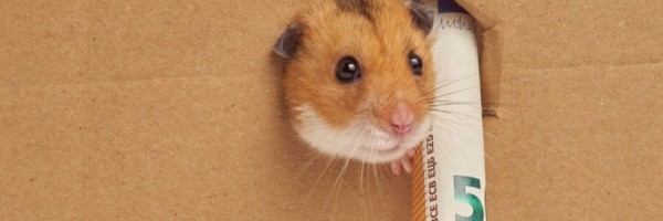 Hrčak koji je postao najbolji trgovac kriptovalutama na svetu