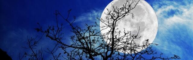 Stiže PUN MESEC U JARCU i donosi suočavanje sa istinom: Evo šta čeka svaki znak