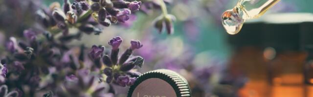 DIY: napravite ulje od lavande za hladne zimske dane