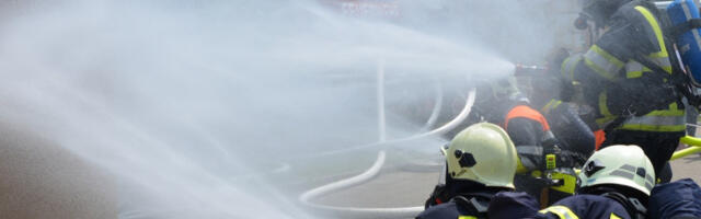 Букнуо пожар у возу