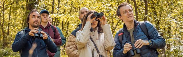 Bivši carinik bere biljku koja se nalazi u svim šumama: "Kilogram košta čak 12 evra"