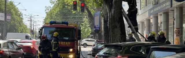 Zapaljeno drvo na bulevaru Kralja Aleksandra: Vatrogasci hitno reagovali - Evo šta je uzrok (FOTO/VIDEO)