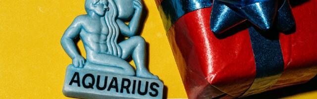 Šta pokloniti Vodoliji za Novu godinu