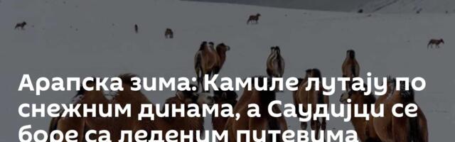 Арапска зима: Kамиле лутају по снежним динама, а Саудијци се боре са леденим путевима