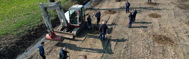 Zasađeno 3.500 sadnica topole – neka se spreme Zrenjanin, Sečanj i Novi Bečej