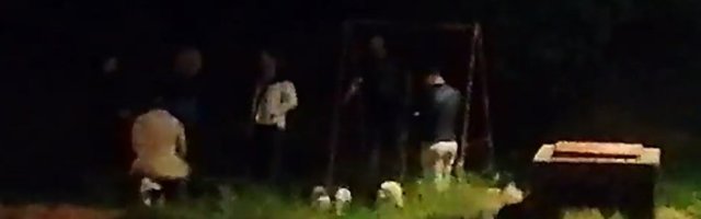 (VIDEO) Šokantni prizor u noći pred Vaskrs: Pogledajte šta rade neodgovorni građani na Banovom Brdu!