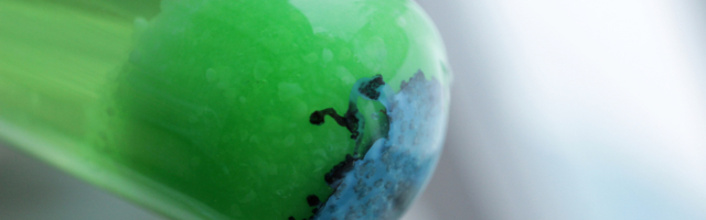 OTKRIĆE U MELENCIMA: Nađena nova vrsta u flori Srbije