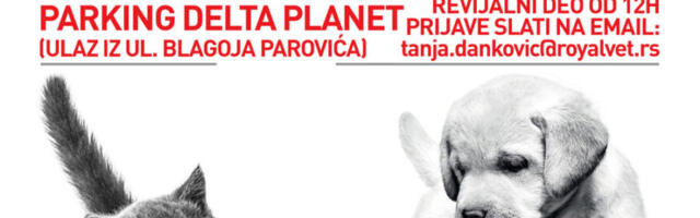 Biraju se najlepši psi i mačke na „Royal Vet Pet Happeningu“ u Nišu