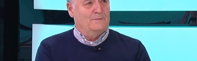 Ljubodrag Stojadinović: Podrivanje ustavnog poretka