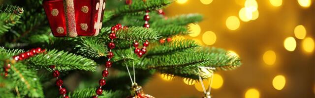 Pregledajte dobro stare ukrase za jelku, neki danas vrede i do 1.000 evra: Evo šta je na ceni, mogli biste odlično da zaradite!