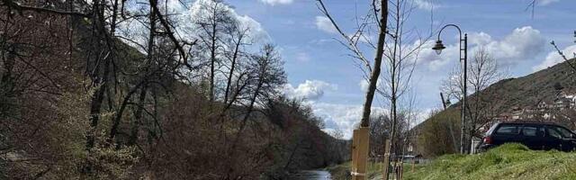 Kompanija DDOR osiguranje realizovala akciju "Za šumu u tvom kraju": 80 stabala za 80 godina