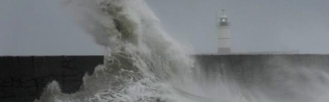 NA KUPANJE ZABORAVITE! Pogledajte kako nafta pliva morem kod Emirata! Na plažu više niko ni ne ide (VIDEO)