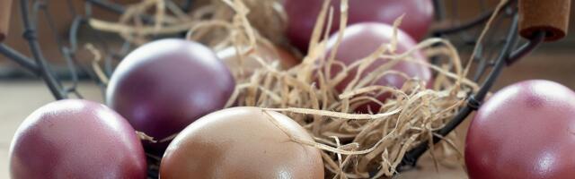 Mimoza salata: Evo kako da je napravite od viška uskršnjih jaja