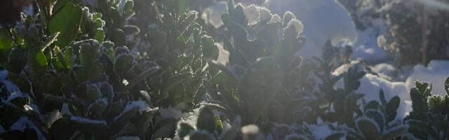 Posle jutarnjeg mraza sunčano i toplije, temperatura do šest stepeni
