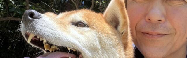 Čovek prodao luksuzni Ferrari da bi spasao pse: život mu je promenio onaj koji mu je spasao dušu