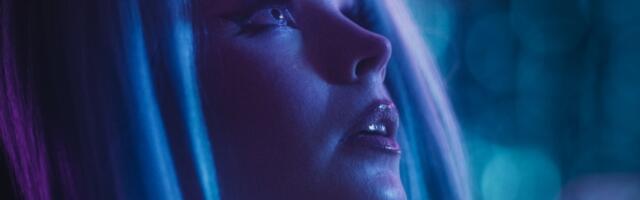 Seks roboti sa funkcionalnim genitalijama