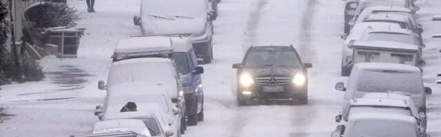 Sestro, nije li malo hladno? Devojka prošetala psa u Beogradu, ljudi s nevericom gledali njene noge