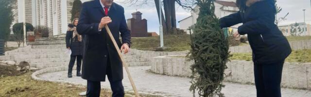 Nove sadnice u Atenici u okviru ozelenjavanja gradskih i prigradskih zona u Čačku