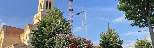 Mak, slikanje na trsci, muzika i film: Zrenjanin planira potpuno nove festivale po selima