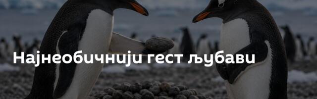 Најнеобичнији гест љубави