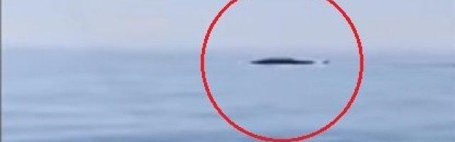 RIBOLOVCI NA JADRANU SNIMILI ČUDO PRIRODE! Pogledajte šta je izronilo! (Video)