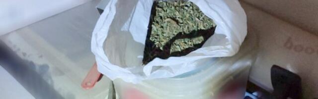 KRUŠEVAČKI PRODAVAC TRAVE IZA REŠETAKA! U njegovom stanu policija pronašla skoro DVA KILOGRAMA MARIHUANE/FOTO/