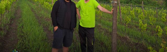 Kako Atfield iz Srbije transformiše vinogradarstvo uz ‘pametne’ softvere i senzore?