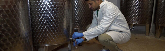 Predrag je zanat nasledio od čukundede: Vodnjika – kraljica imuniteta i eliksir koji leči mamurluk (VIDEO)