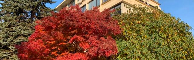 Evo šta piše u presudi Višeg suda protiv Grada Vranja