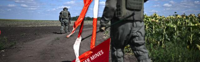 Rekordan broj žrtva nagaznih mina i neeksplodiranih ubojnih sredstava: Stravične brojke u novom izveštaju