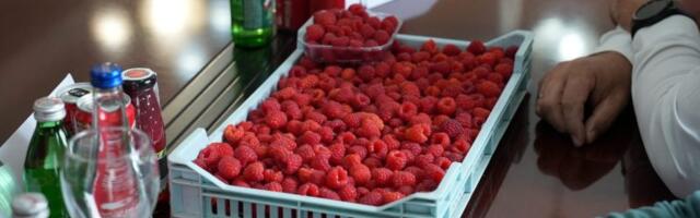 Glamočić najavio zaštitu domaćih malinara od prekomernog uvoza