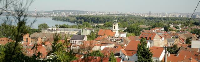 Od "raspale metle" do "SATANE" Neko je lomio cveće u Zemunu, a onda se pojavila ova zastrašujuća poruka!