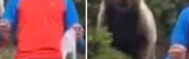 Dečak zamalo izbegao tragediju, svi se dive njegovoj hrabrosti! (FOTO)