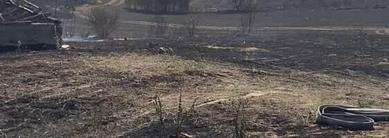 U Đurđevu kraj Rače izgorelo 50 hektara (VIDEO)